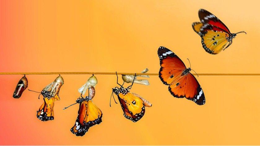 Heading 1: Transformation of Education Delivery through EdTech Platforms